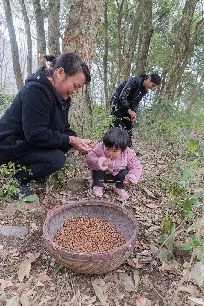 我在村儿里捡到了很多宝贝！