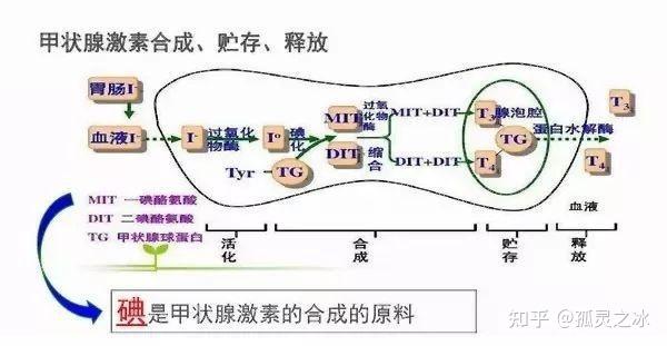 第3135页