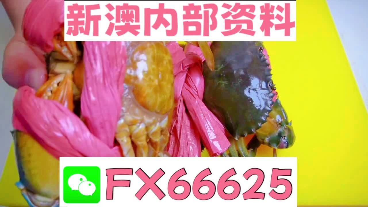 新澳六叔精准资料大全探索历史遗迹，感受文化的厚重,新澳六叔精准资料大全_{关键词3}