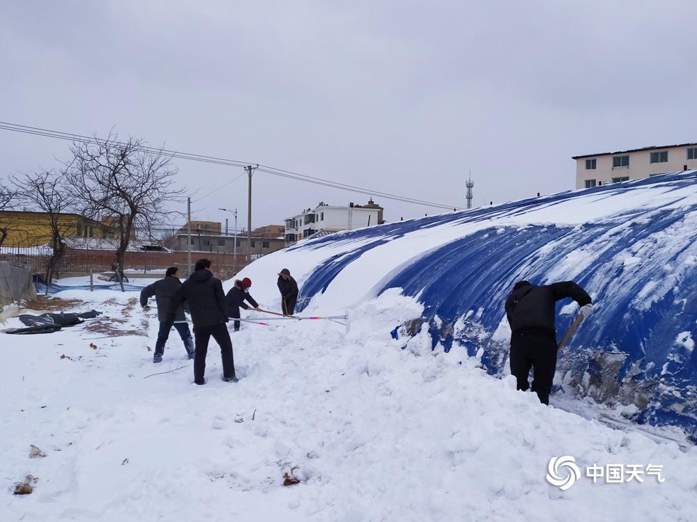 辽宁出现近60年一月最强降雪，一场风雪中的壮丽画卷