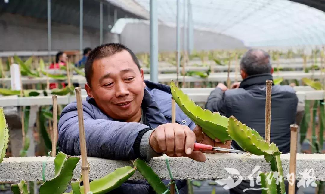 年是盼头，更是奔头的岁月