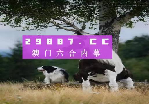 使用攻略 第251页