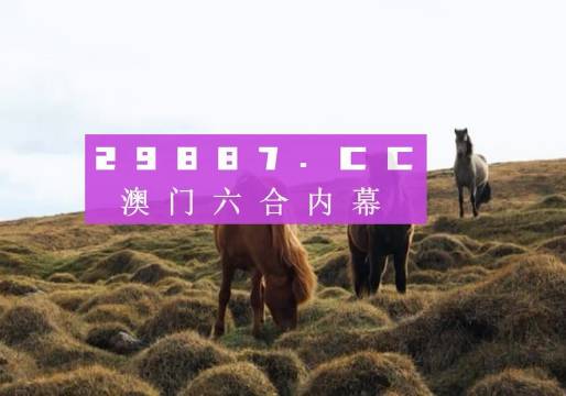 技术支持 第256页