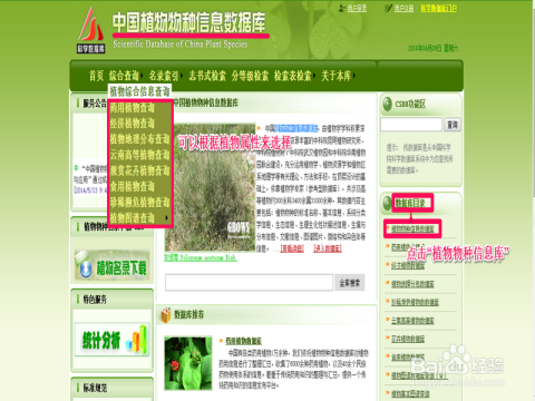 揭秘The25.230背后的惊天突破！新奥最快最准免费资料，助你踏上成功之路！