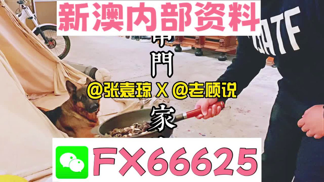 揭秘！管家婆精准资料免费大全香港隐藏的增长密码，桌面版27.176竟暗藏玄机！