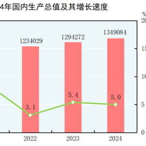 奇迹再现？24年中国GDP增长5.0%背后的秘密与风险