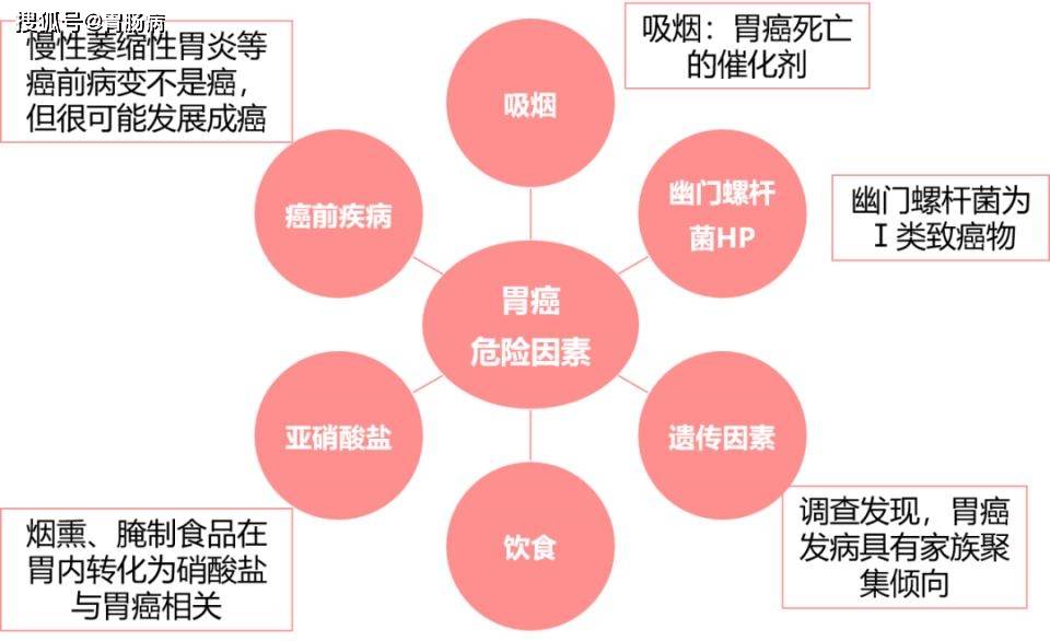 惊！年轻人胃癌飙升80%，女性更危险！熬夜竟是隐形杀手？这些习惯你必须改！