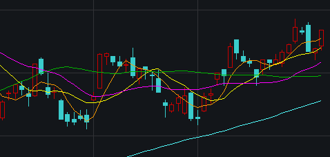 2025年3月15日 第21页