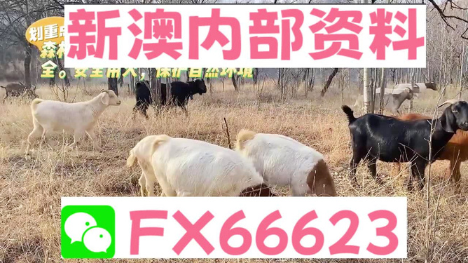 惊爆！新澳2025今晚开奖资料四不像揭秘，终极版57.504助你抢占国际市场先机！