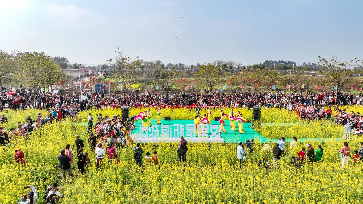 震惊！乡镇书记尬舞宣传油菜花，背后真相竟让人哭笑不得！