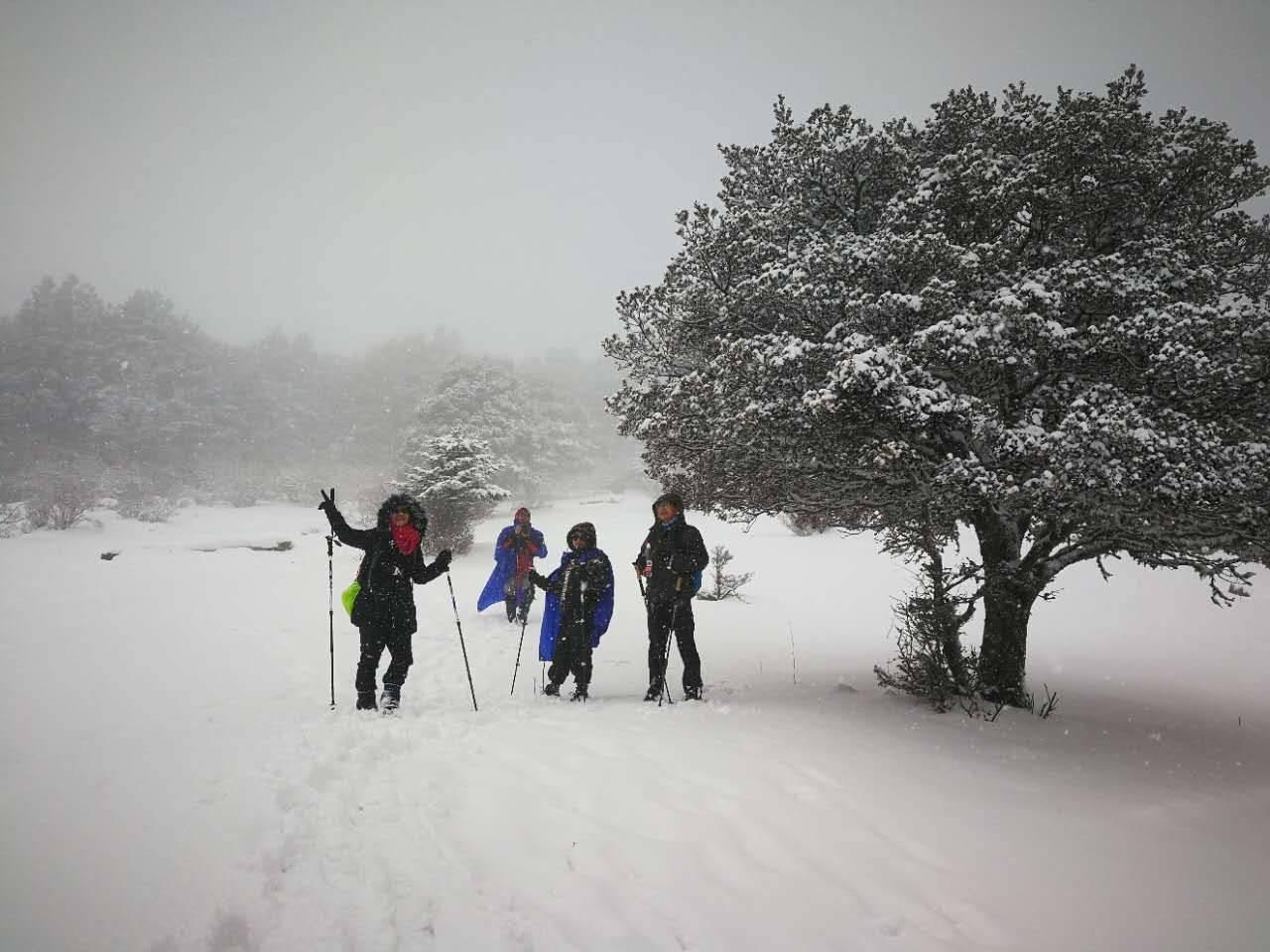 丽江城区被大雪装扮得好美